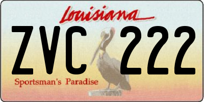 LA license plate ZVC222