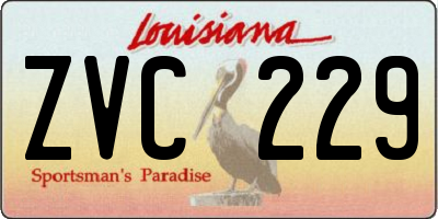LA license plate ZVC229