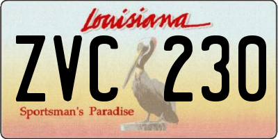 LA license plate ZVC230