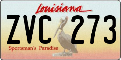 LA license plate ZVC273