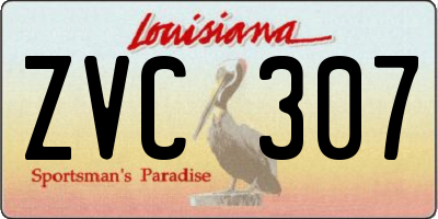 LA license plate ZVC307