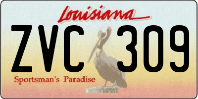 LA license plate ZVC309