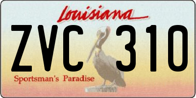 LA license plate ZVC310