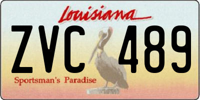 LA license plate ZVC489