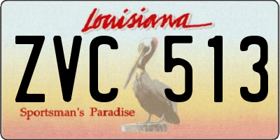 LA license plate ZVC513