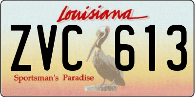 LA license plate ZVC613