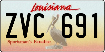 LA license plate ZVC691