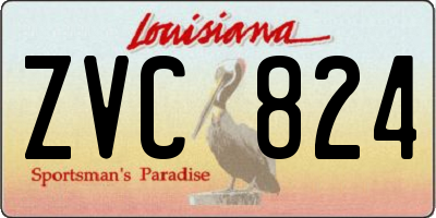 LA license plate ZVC824