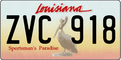 LA license plate ZVC918