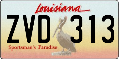 LA license plate ZVD313