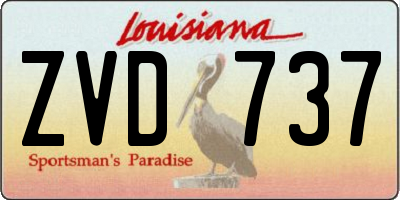 LA license plate ZVD737