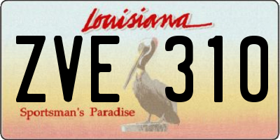 LA license plate ZVE310