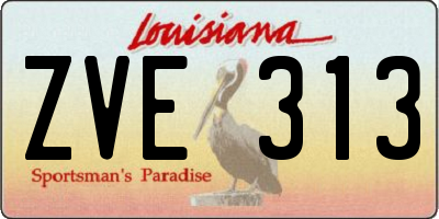 LA license plate ZVE313