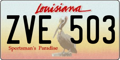 LA license plate ZVE503