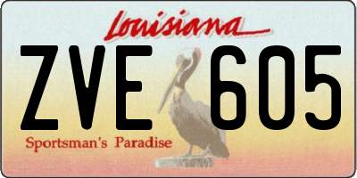 LA license plate ZVE605