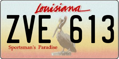 LA license plate ZVE613