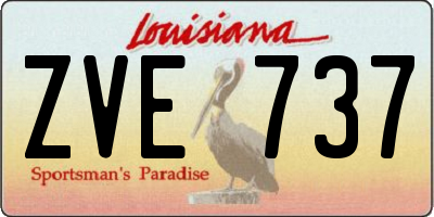 LA license plate ZVE737