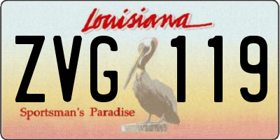 LA license plate ZVG119