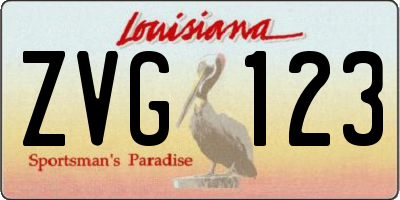 LA license plate ZVG123