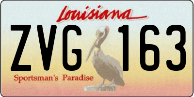 LA license plate ZVG163