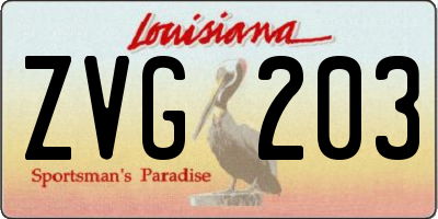 LA license plate ZVG203