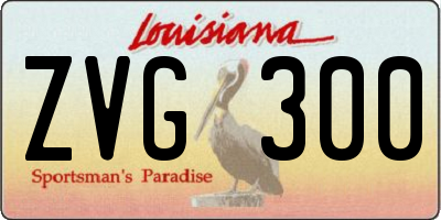 LA license plate ZVG300