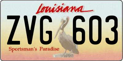 LA license plate ZVG603