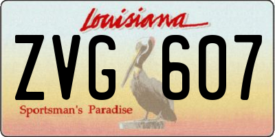 LA license plate ZVG607