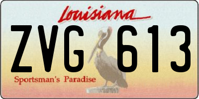 LA license plate ZVG613