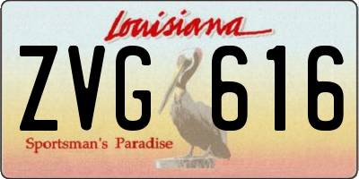 LA license plate ZVG616