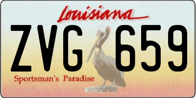 LA license plate ZVG659