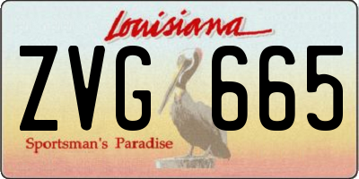 LA license plate ZVG665