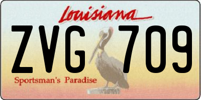 LA license plate ZVG709