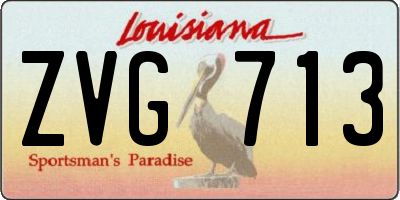 LA license plate ZVG713