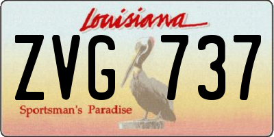 LA license plate ZVG737
