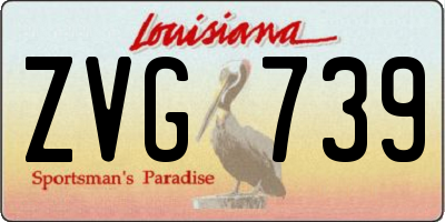 LA license plate ZVG739