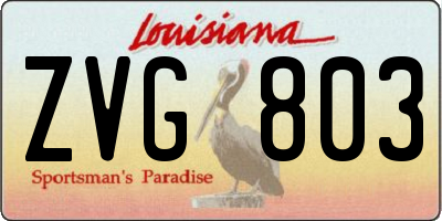 LA license plate ZVG803