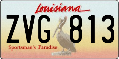 LA license plate ZVG813