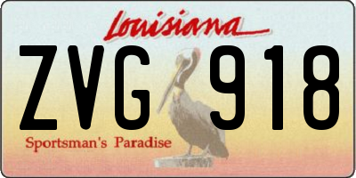 LA license plate ZVG918