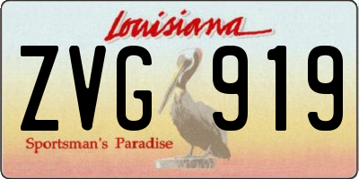 LA license plate ZVG919