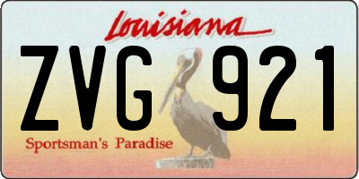 LA license plate ZVG921