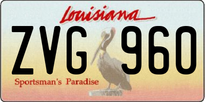 LA license plate ZVG960