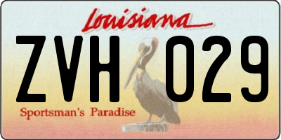 LA license plate ZVH029