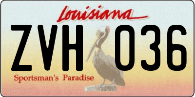 LA license plate ZVH036