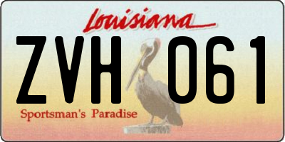 LA license plate ZVH061