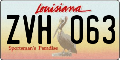 LA license plate ZVH063