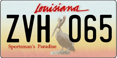 LA license plate ZVH065