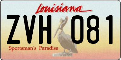 LA license plate ZVH081