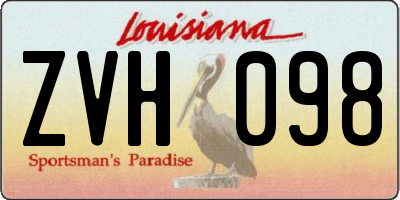 LA license plate ZVH098