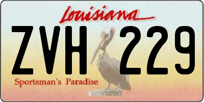 LA license plate ZVH229